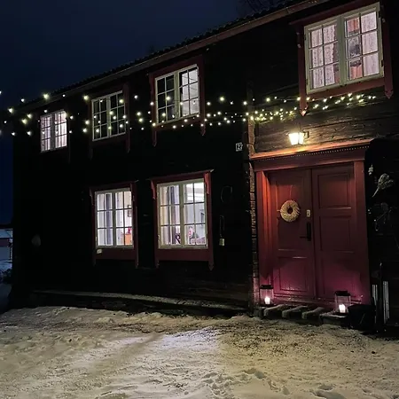 Private Pearl In Downtown Feriehus Røros