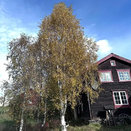 Private Pearl In Downtown Feriehus Røros