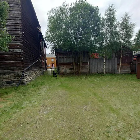 Private Pearl In Downtown * Røros