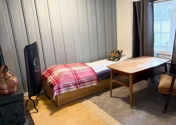 Private Pearl In Downtown * Røros